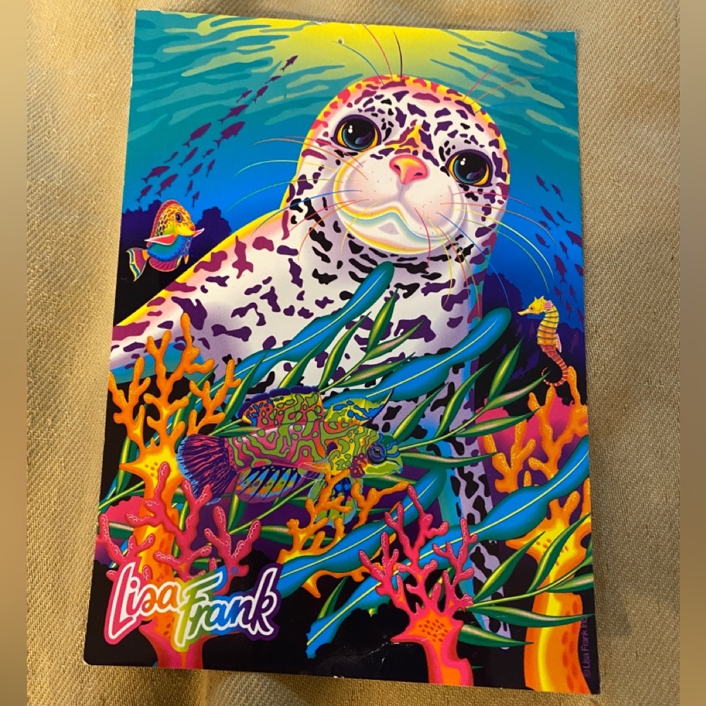 Rainbow reef seal pup postcard
